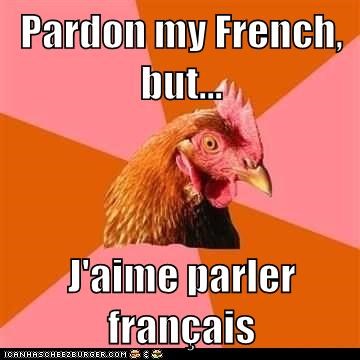 pardon my french