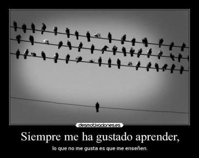 15203362_10155539420869972_4647927158941100657_n